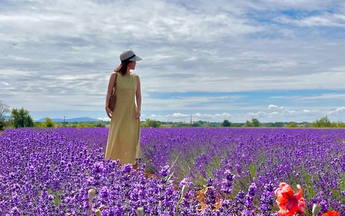 [Korean Guide] [Southern Tour] Valensole + Verdon + Moustiers (Departure from Nice/Small Group)