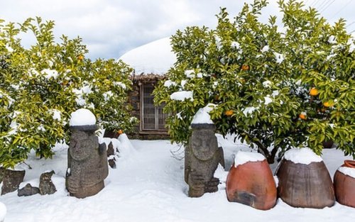 Jeju UNESCO Top Attractions Authentic Day Tour