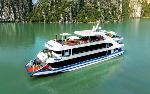 Arcady Premium Day Cruise: Ha Long Bay with Sung Sot & Ti Top