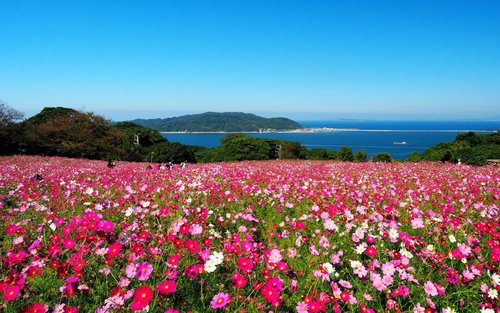 福岡能古島＆タワー終日プライベートツアー