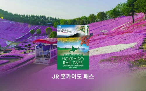 JR 홋카이도 레일 패스