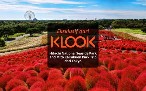 Tur Sehari Penuh Tokyo Hitachi & Ashikaga Flower Park