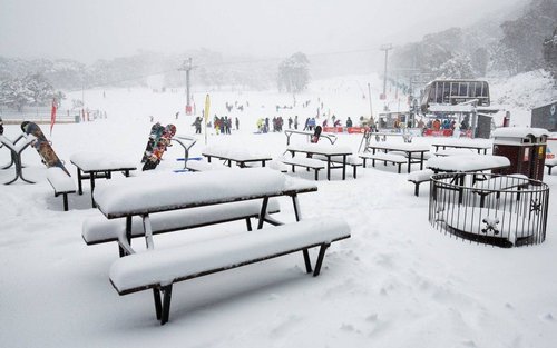 Thredbo OR Perisher Day Tour