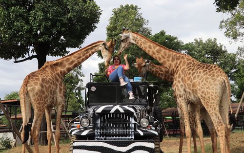 Biglietto per lo Sriayuthaya Lion Park