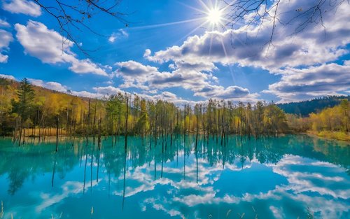 Hokkaido: Asahiyama Zoo + Biei Blue Pond - Sommarbegränsad Furano blomsterfält endagstur