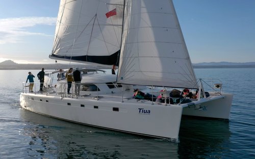 Māori Rock Carvings Taupo - Luxury Sailing Catamaran Tiua