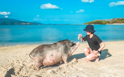 Koh Tan and Koh Mudsum Day Tour from Koh Samui