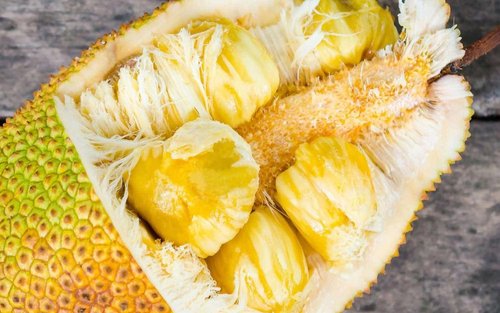 内陆美食飨宴及观光一日游