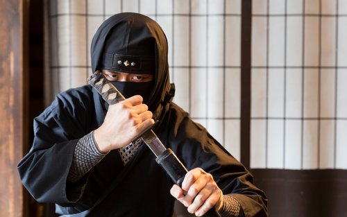 Myths & Mystery of Ninja and the Tokaido Road Bus Tour (From Nagoya)