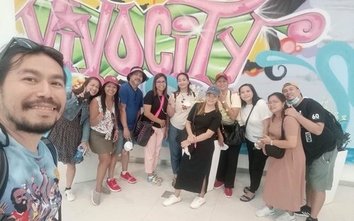 Singapore Private Car City Half-Day Tour