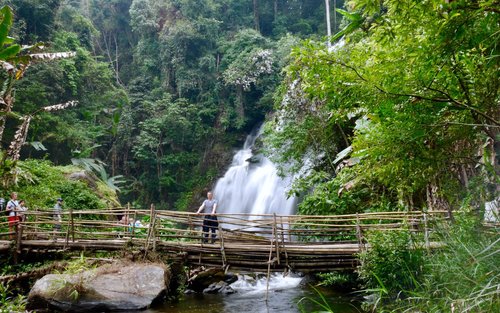 Chiang Mai: Doi Inthanon Reforestation and Trekking Tour