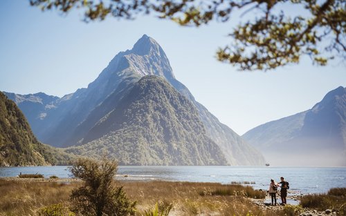 蒂阿瑙出發，屢獲殊榮的米爾福德峽灣一日遊