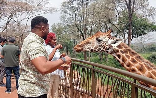 Nairobi Flughafen Zwischenstopp zur Giraffe Center Tour.