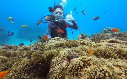 Pingtung｜Kenting Wanli Tong Beach Water Sports｜Diving Experience・Advanced Snorkeling