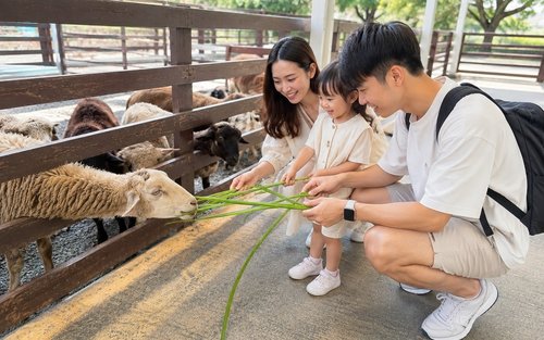 Jednodniowa wycieczka do Yilan: Muzeum Lanyang, Farma Zwierząt i Gorące Źródła Jiaoxi (wyjazd z Tajpej do Yilan/bezpłatny naleśnik z zieloną cebulką DIY)