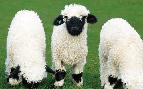 Entradas para el Jardín del Agua y del Pino