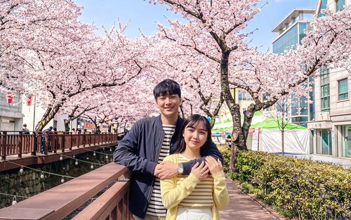 Jinhae Cherry Blossom Tour from Seoul