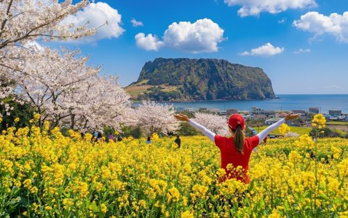 Best Jeju Day Tour: UNESCO & Essential Highlights (East/SouthWest) 