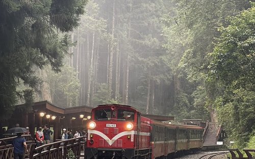 Lille gruppetur til Alishan National Forest fra Taichung