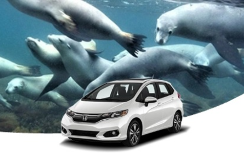 Port Lincoln car rentals | Choose from multiple car models