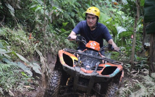 バリ山 ATV バギー ambush yfm250 450 ラプター