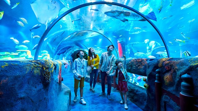 SEA LIFE Nagoya Tickets