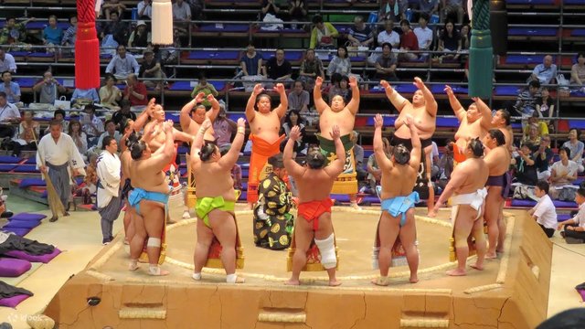 Nagoya Sumo Tournament Experience: See the July Basho