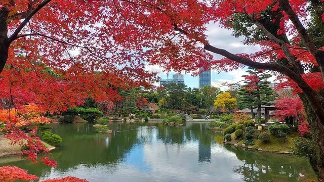 Shukkeien Garden Tickets