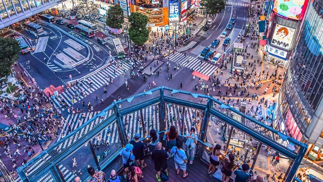 Shibuya Crossing View Rooftop Tickets