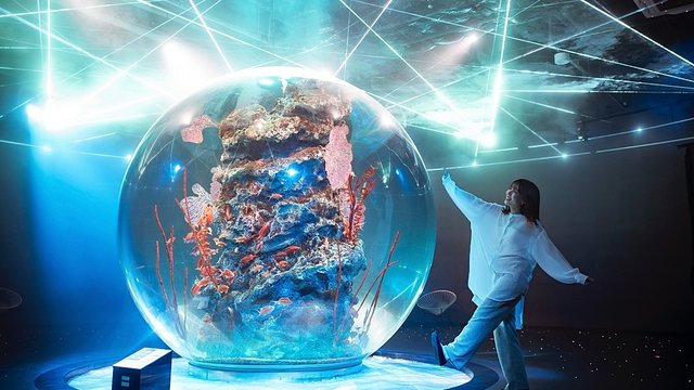 atoa Kobe Aquarium Tickets
