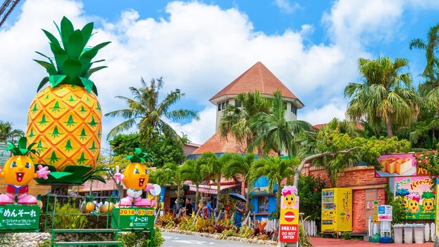 Nago Pineapple Park Tickets