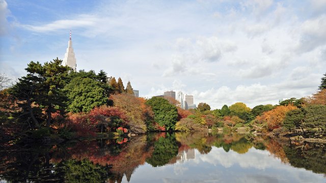Shinjuku Gyoen Tickets
