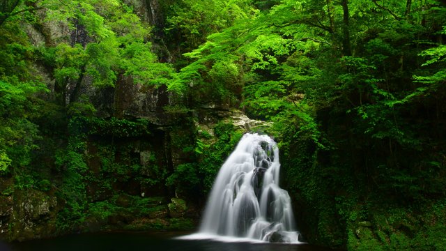 Akame 48 Waterfalls Ninja Experience