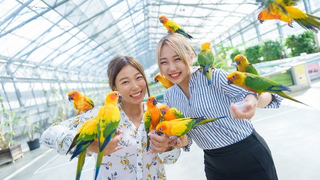 Kakegawa Kachoen Tickets