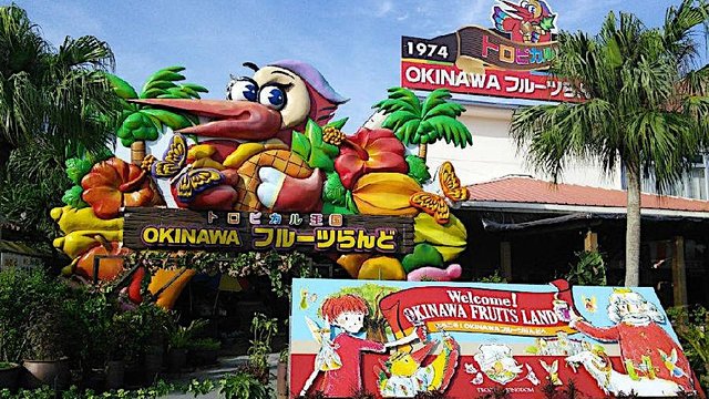 Okinawa TokuToku Pass: Churaumi Aquarium and JUNGLIA