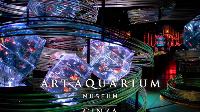 Art Aquarium Museum Ginza Tickets