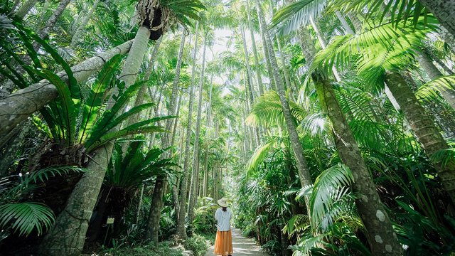 Southeast Botanical Gardens Okinawa Tickets