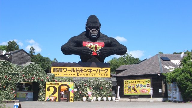 Nasu World Monkey Park in Tochigi