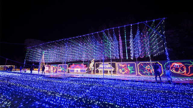 Okinawa Zoo and Museum Tickets