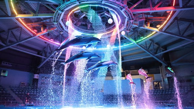 Maxell Aqua Park Shinagawa Tickets