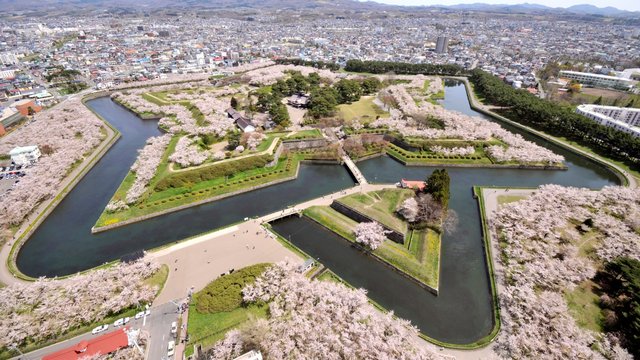 Goryokaku Tower Tickets