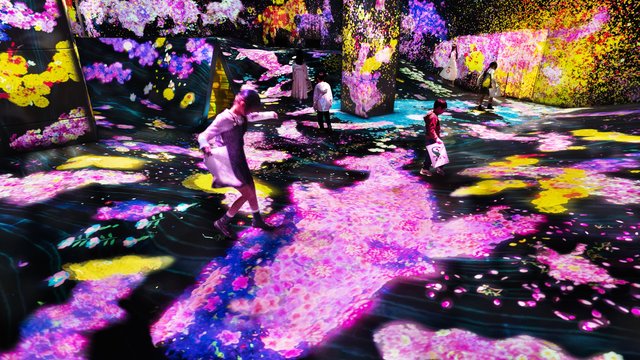 teamLab Forest Fukuoka Tickets