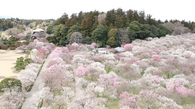 Kairakuen Garden Tickets