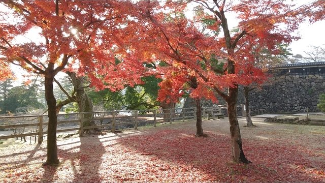 Matsue Castle Tickets