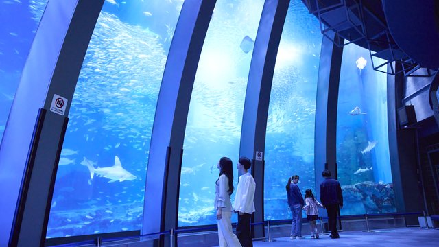 Yokohama Hakkeijima Sea Paradise Tickets