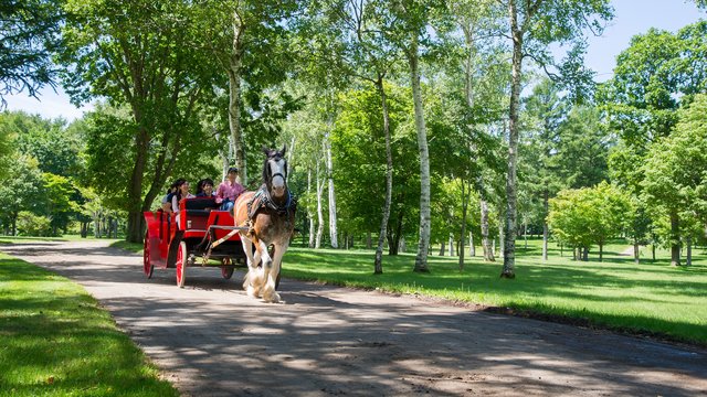 Northern Horse Park