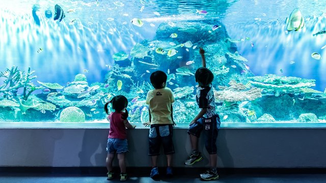 Shinagawa Aquarium Tickets