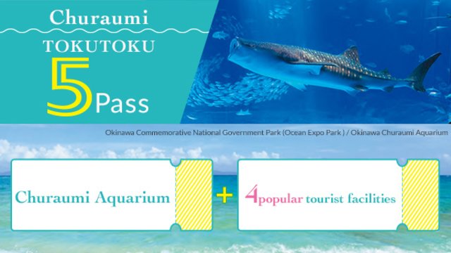 Okinawa Churaumi TokuToku Pass