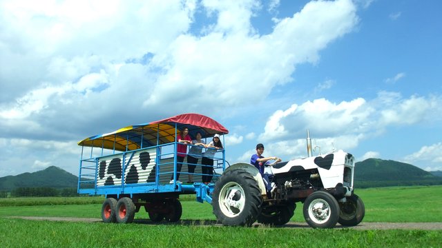 Watanabe Farm Experience: Cows, Milking and Butter Making