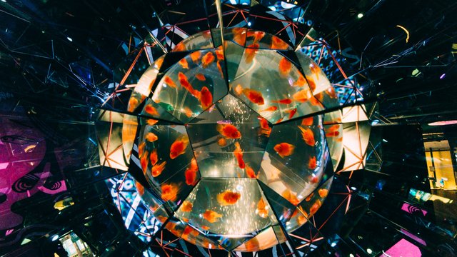 UWS Aquarium GA KYO Odaiba